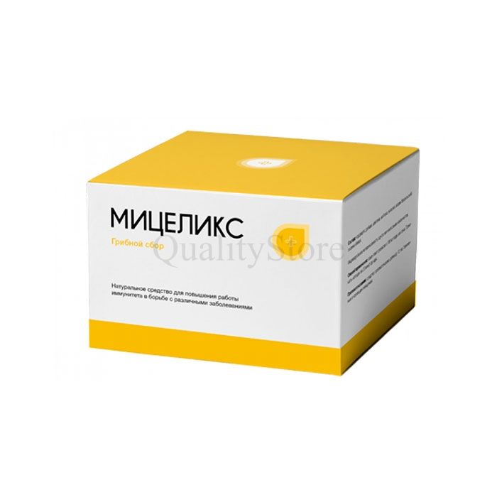 Miceliks ✰ սնկի հավաքածու շաքարախտի համար ✰ Գյումրիում